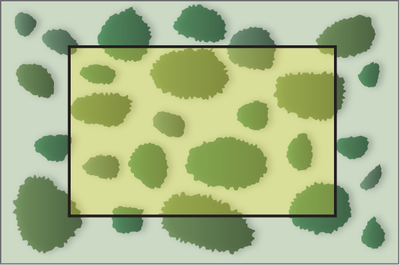 Line Point Designer
