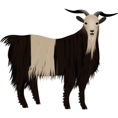 Goat
