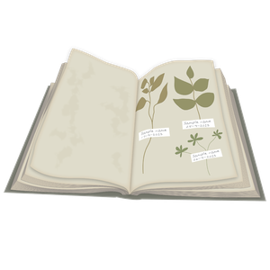 Collecting Plant Samples for Identification