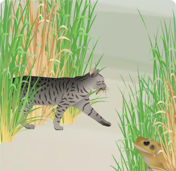 Things We Worry About